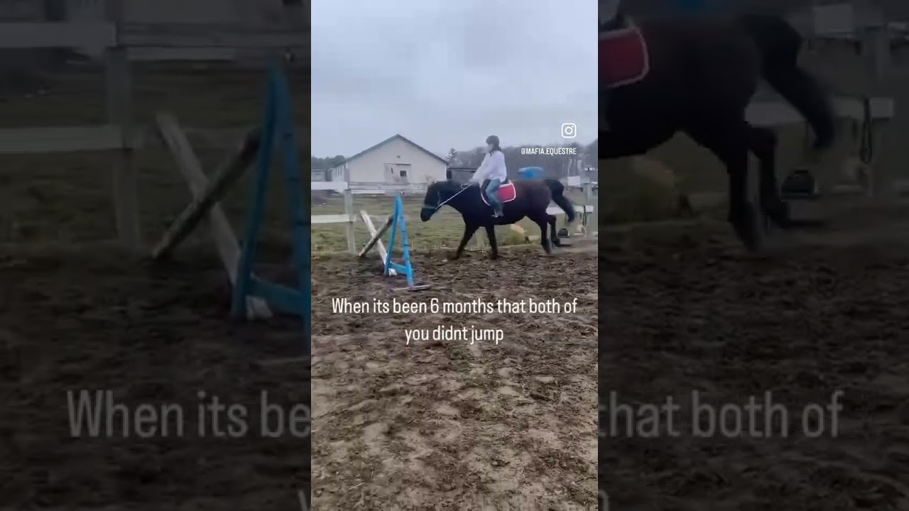 Spicy mare