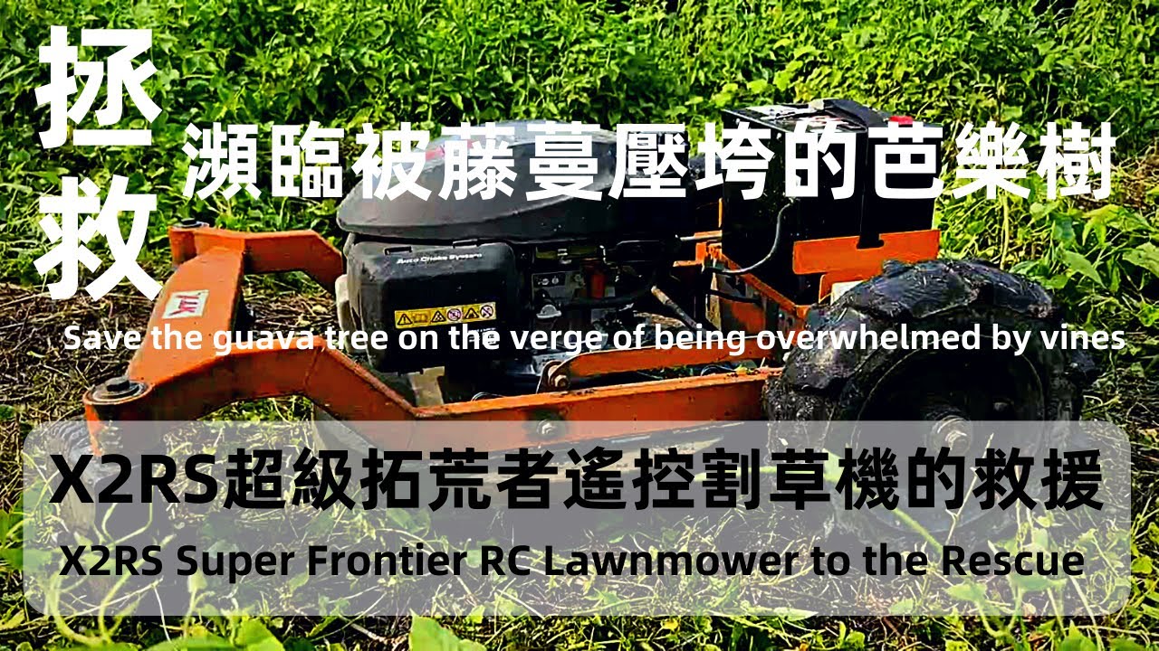 XLK X2RS遙控割草機 拯救芭樂樹!XLK X2RS Remote Control Lawnmower Save the guava!