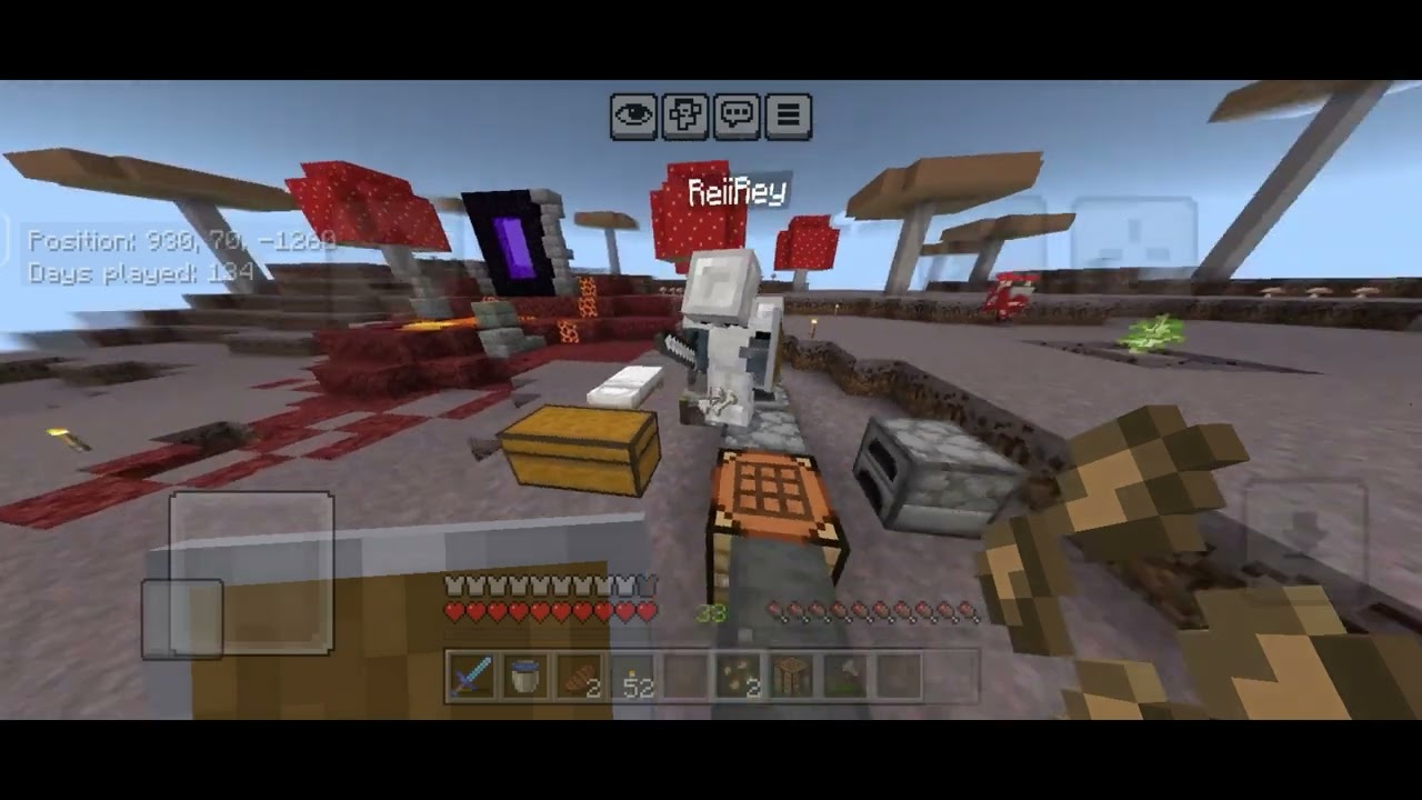 Episode 4 - Reiirey | Valryn SMP