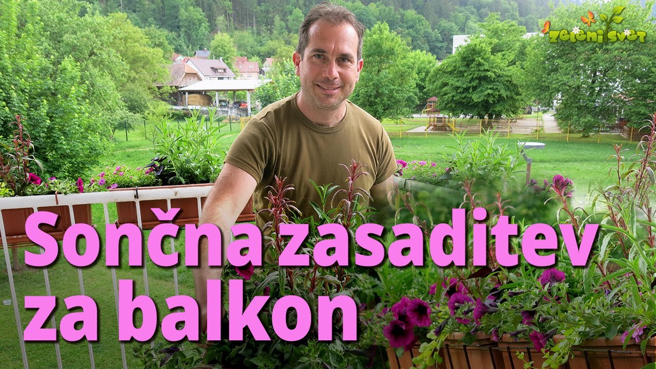 Sončna balkonska zasaditev