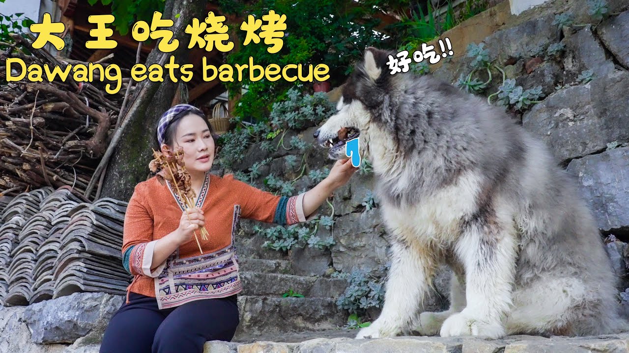 大王和来福的美味烧烤大餐 | Dawang and Laifu's Delicious BBQ Dinner