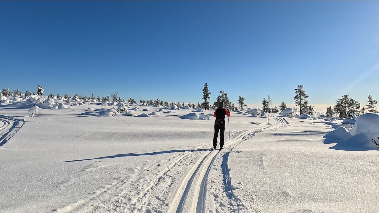 Saariselkä hiihtoladut: Kulmakuru hiihto. Hammastunturin erämaa