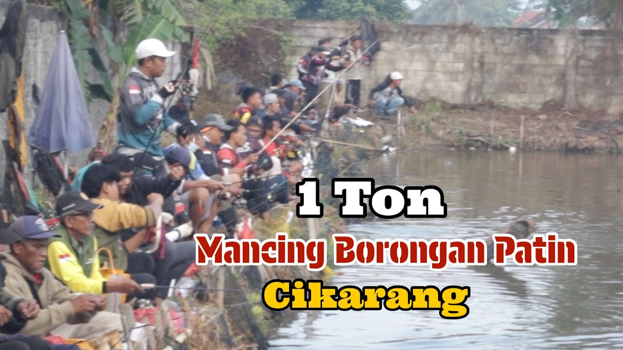 LAPAK KUBURAN | IKAN TONAN CUMA D4PET SEGINI 