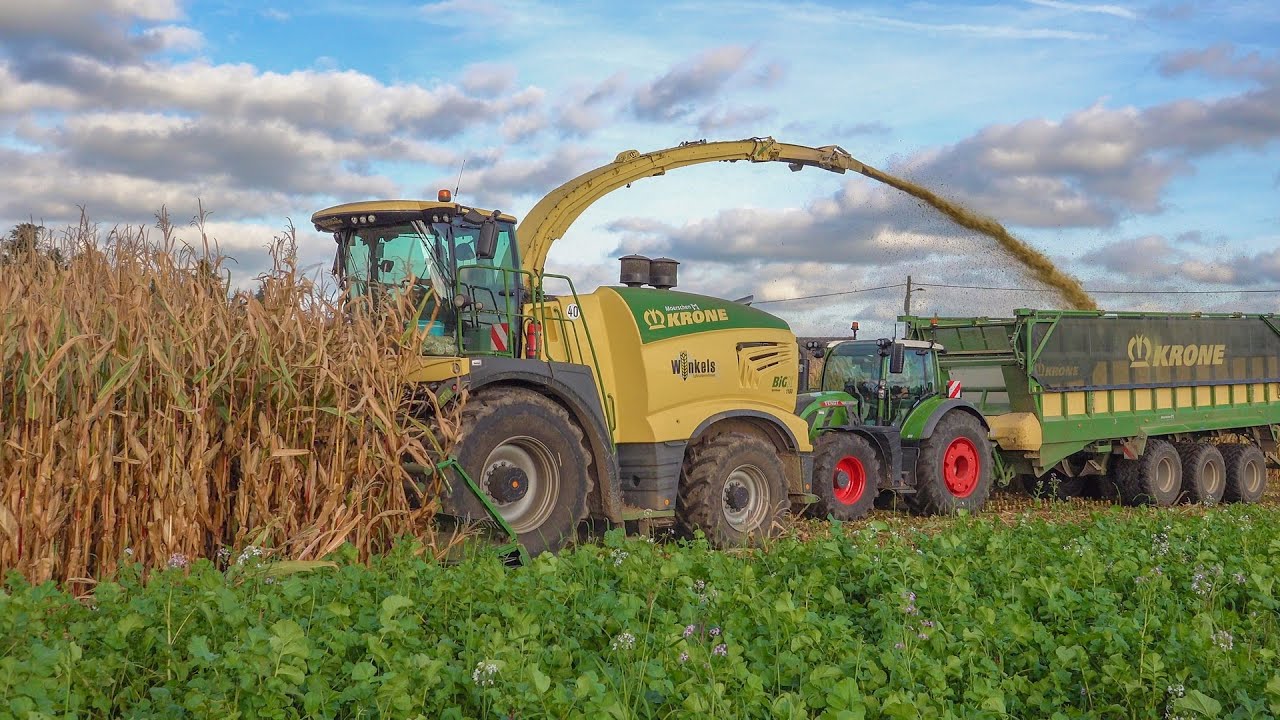 BIG  BIGGER BIGGEST | Krone BIG X1180  | 12 row | Mais |