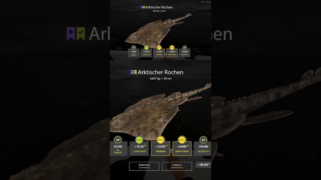 Arktischer Rochen mit kr&auml;ftigen Bauchtattoo :) | #c4rphunter auf #Twitch