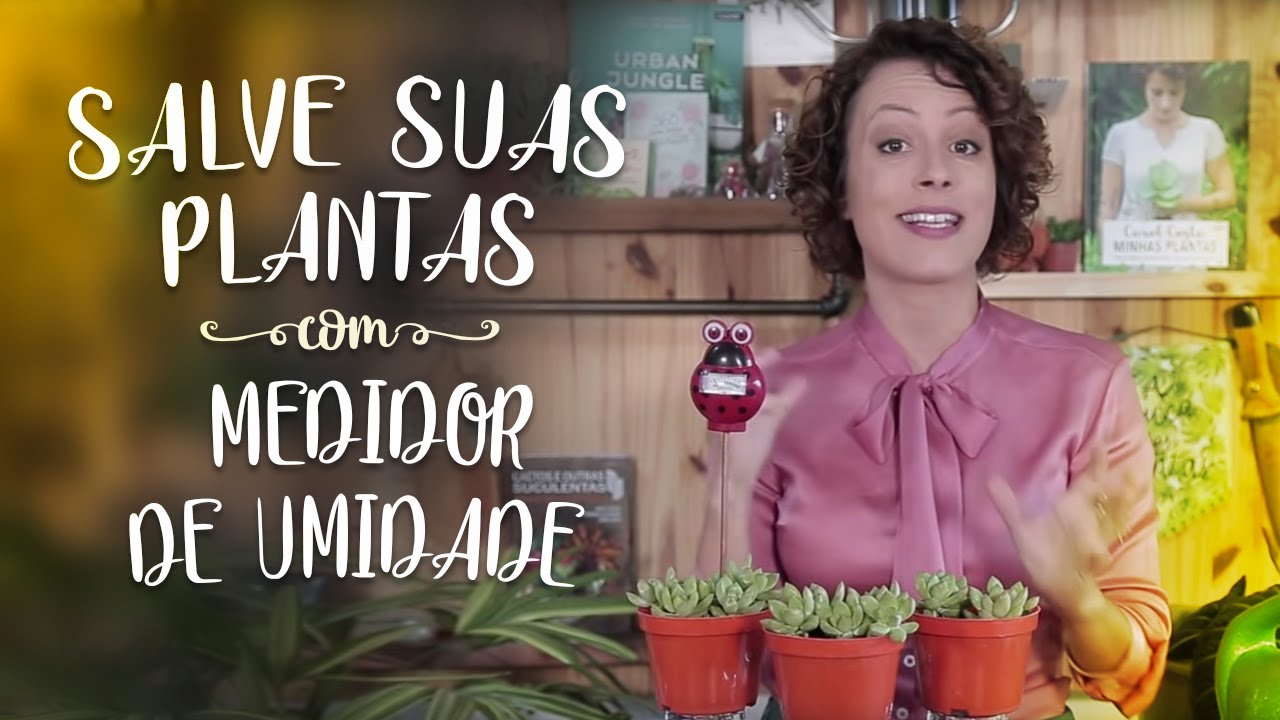 SALVE suas PLANTAS com MEDIDOR de UMIDADE