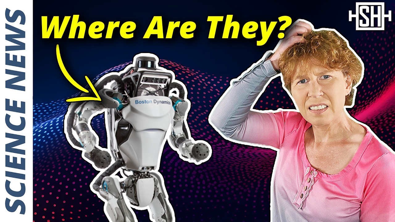 Why don't we have better robots yet?