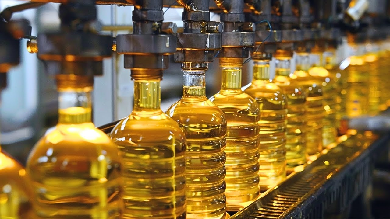 How Sunflower Oil is Made - The Secret Factory Process