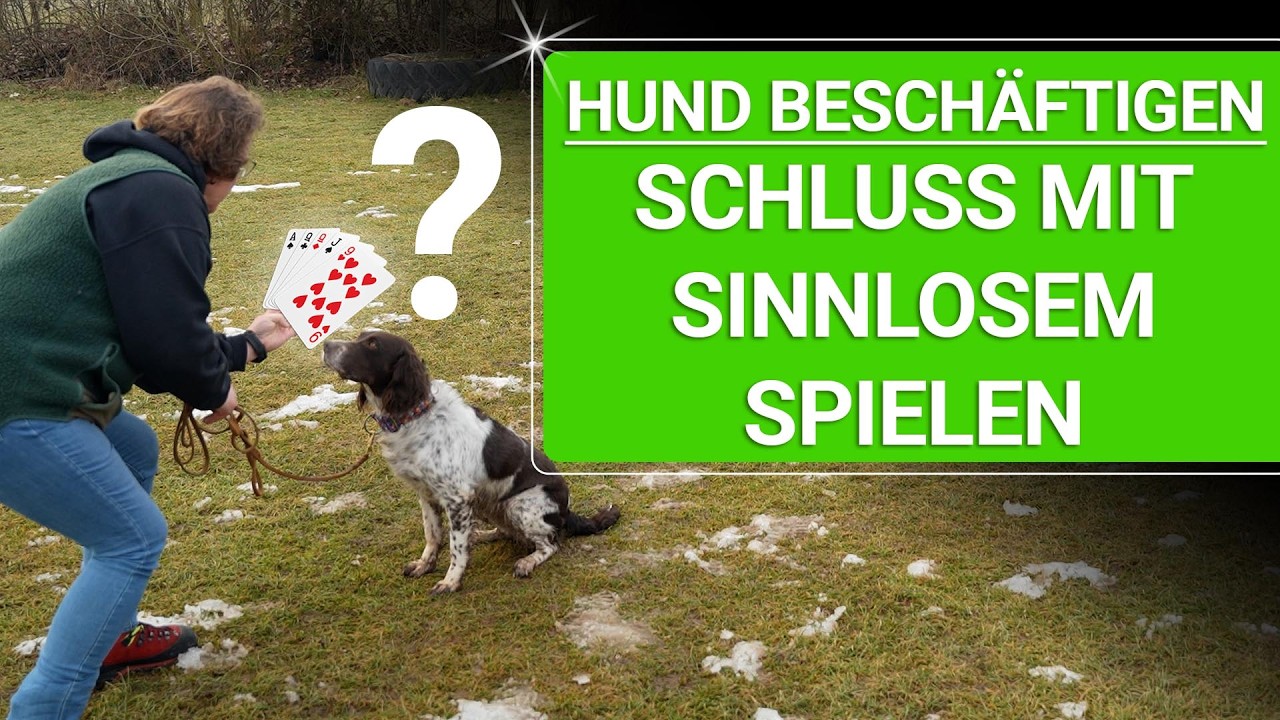 💥🐶 Hund beim Gassi beschäftigen 👉 3 Übungen für den Alltag 🐶💥✔️