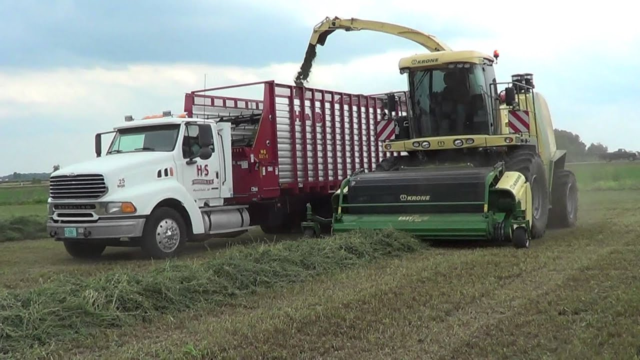 2012 Wisconsin Farm Show - Krone Big X700 chopping alfalfa in field demo.
