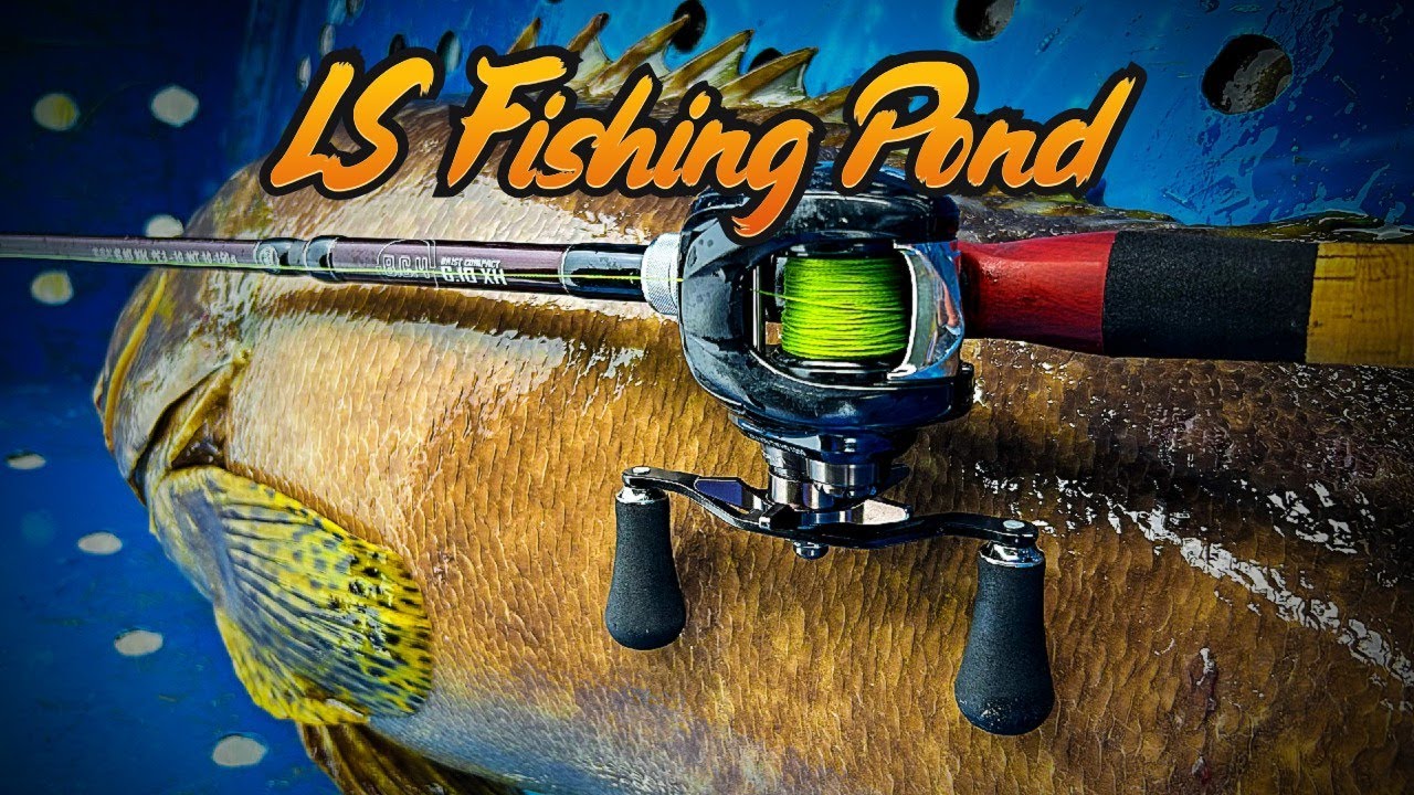LS Fishing Pond | Fishman BC4 610XH | Zillion TW HD