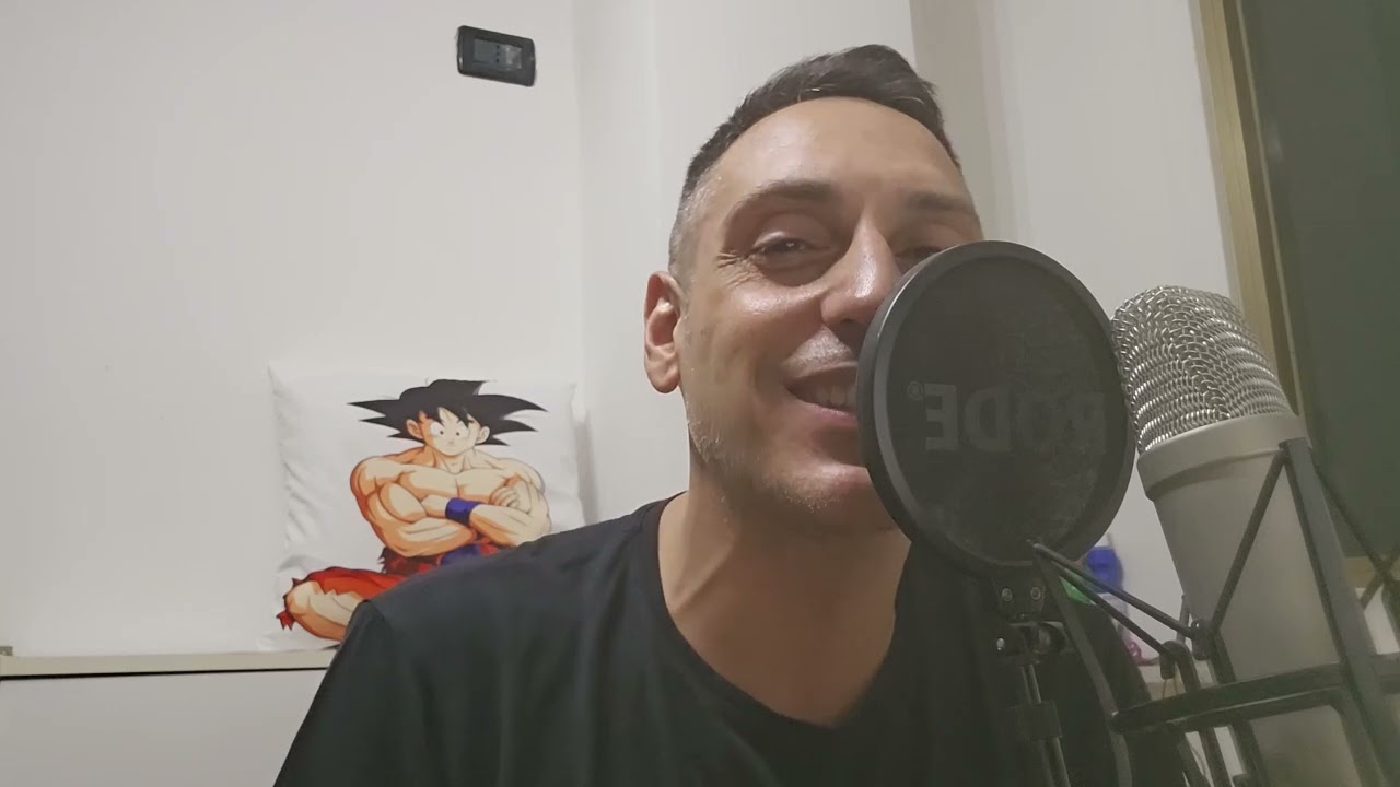 Se... (Nuovo Cinema Paradiso) - Il volo - Cover by Vinny