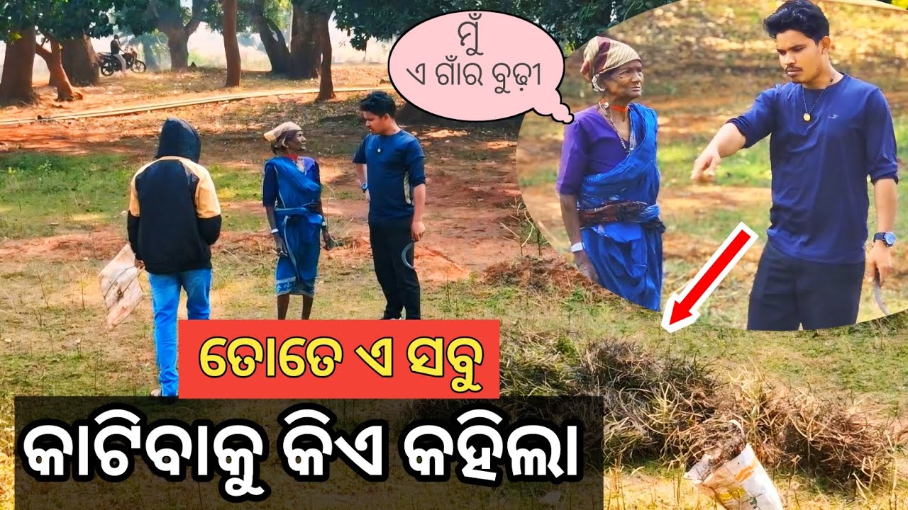 ତୋତେ ଏ ସବୁ କାଟିବାକୁ କିଏ କହିଲା 😡|| new odia prank || Kandhamal youtuber || @Ckant-prank