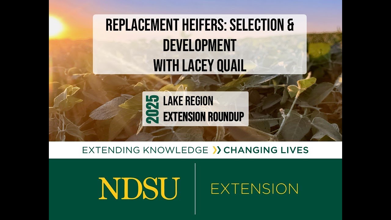 Replacement Heifers: Selection and Development