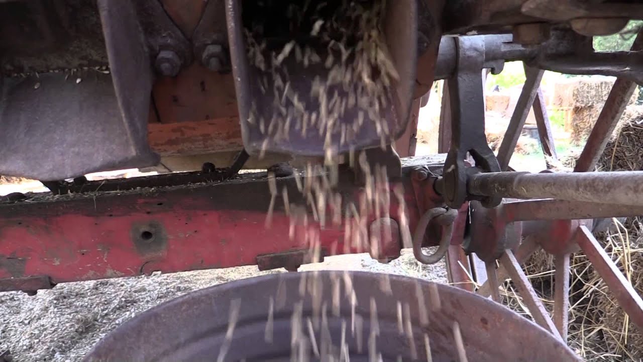 20-Festa della battitura NL