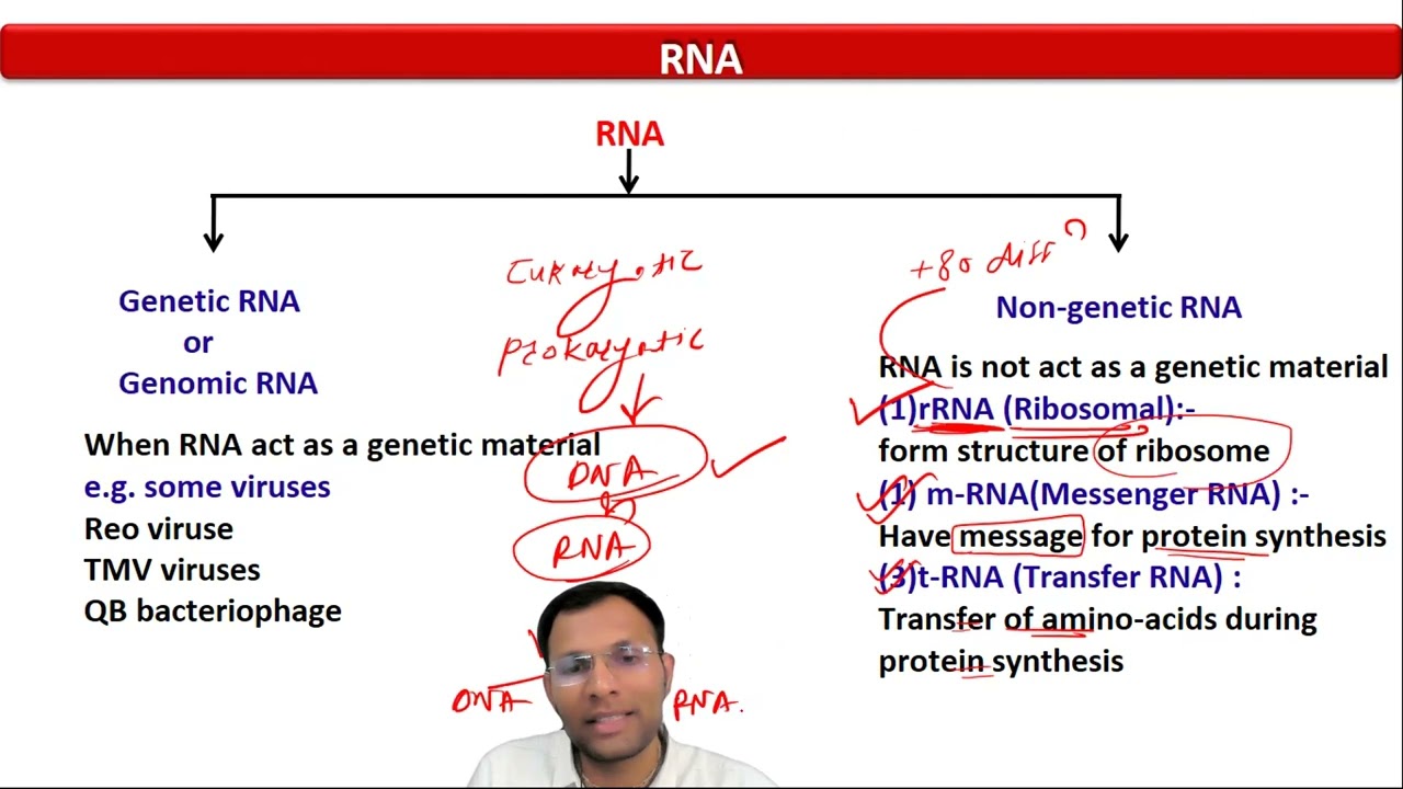9. RNA & Its type