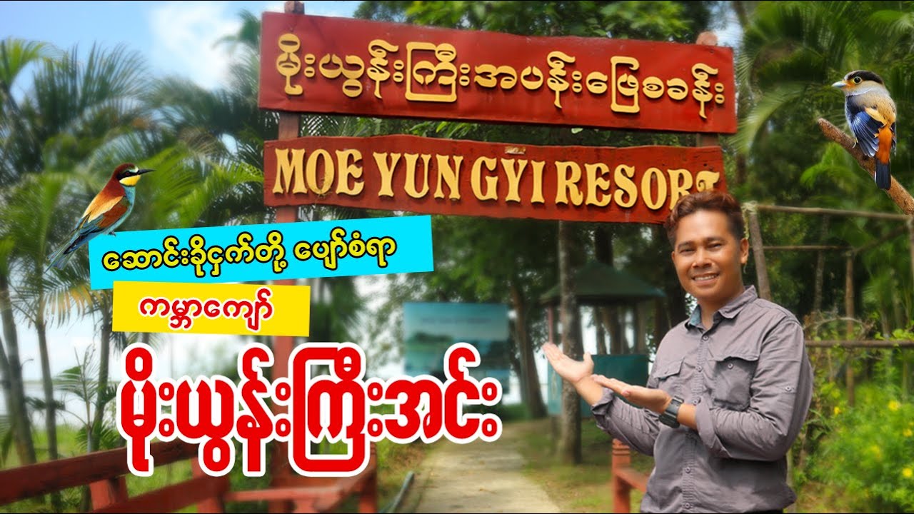 ဆောင်းခိုငှက်တွေနဲ့ ကမ္ဘာကျော်မိုးယွန်းကြီးအင်း | Moe Yun Gyi Wildlife Sanctuary