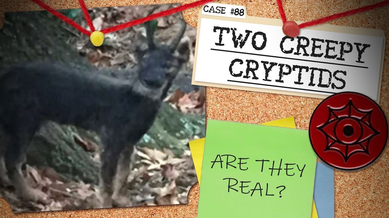 Do These Paranormal Cryptids Signal Your Death? | Two Creepy Cryptids