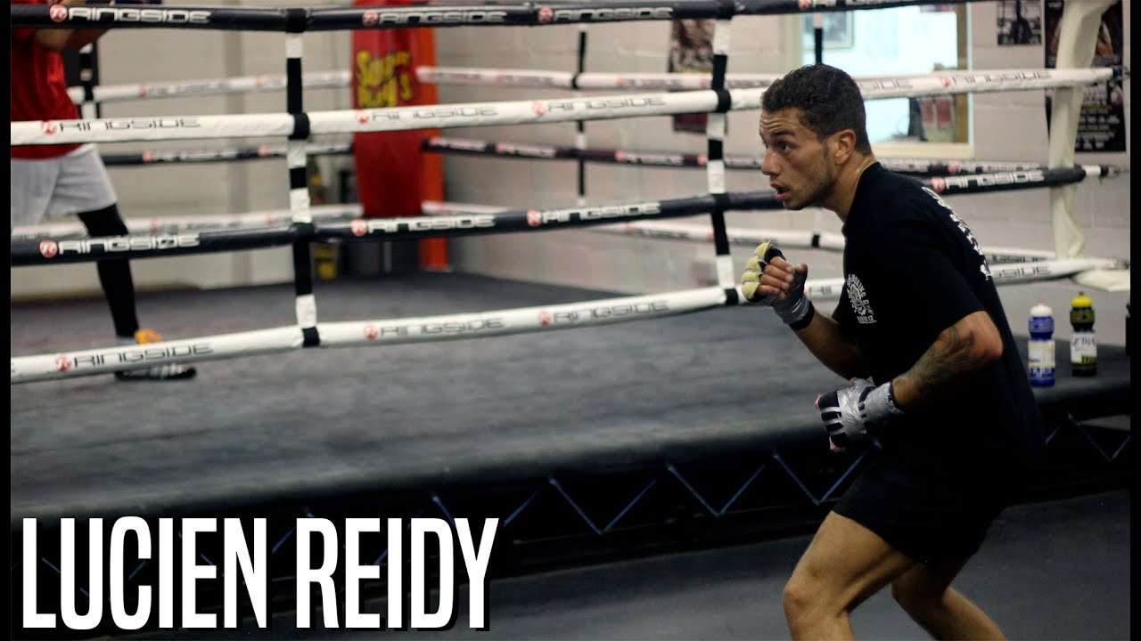 The Boxer Profile | Lucien Reidy