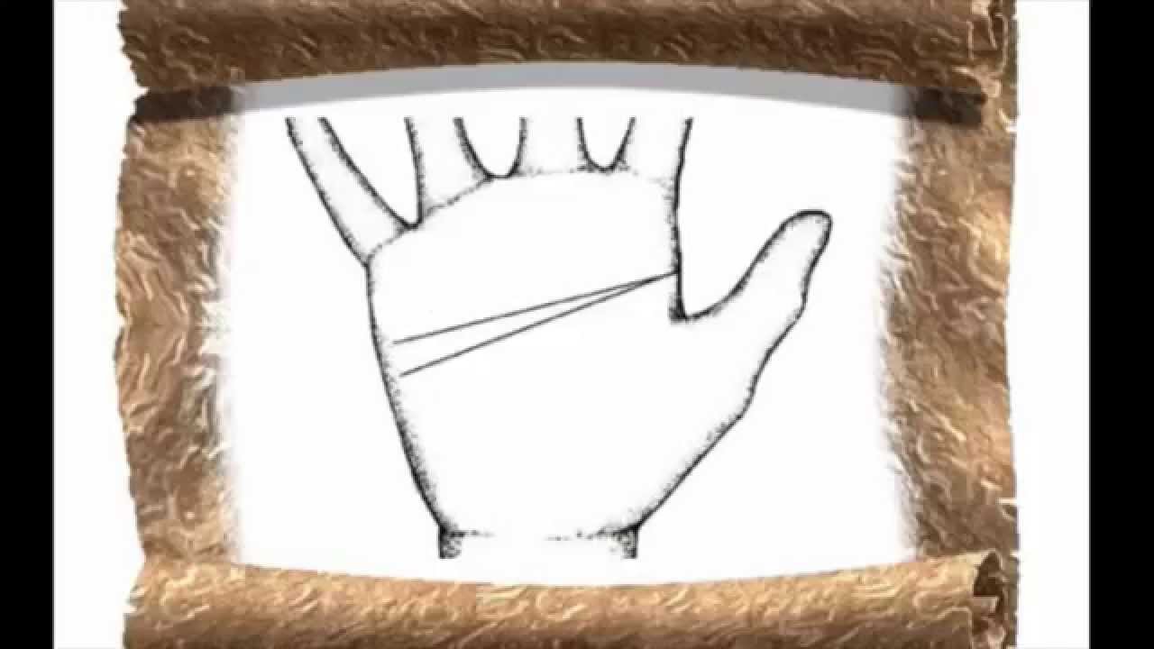 Palmistry. Head line