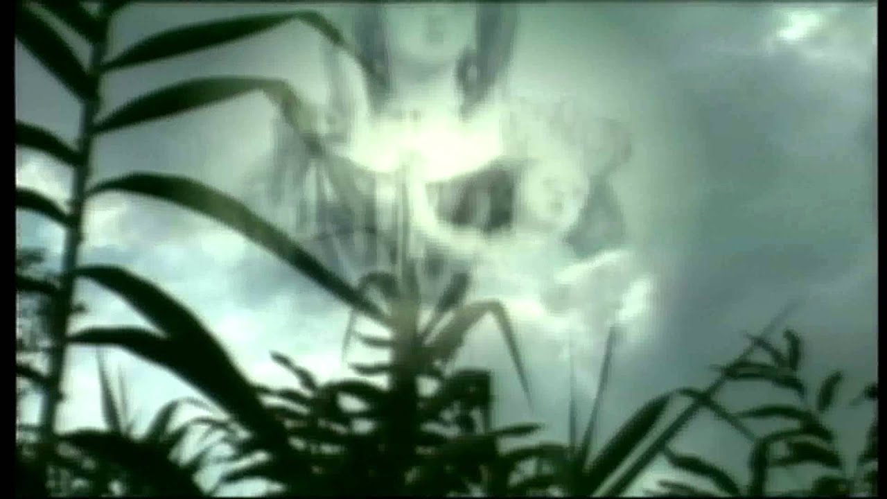 Maria è scesa in guerra