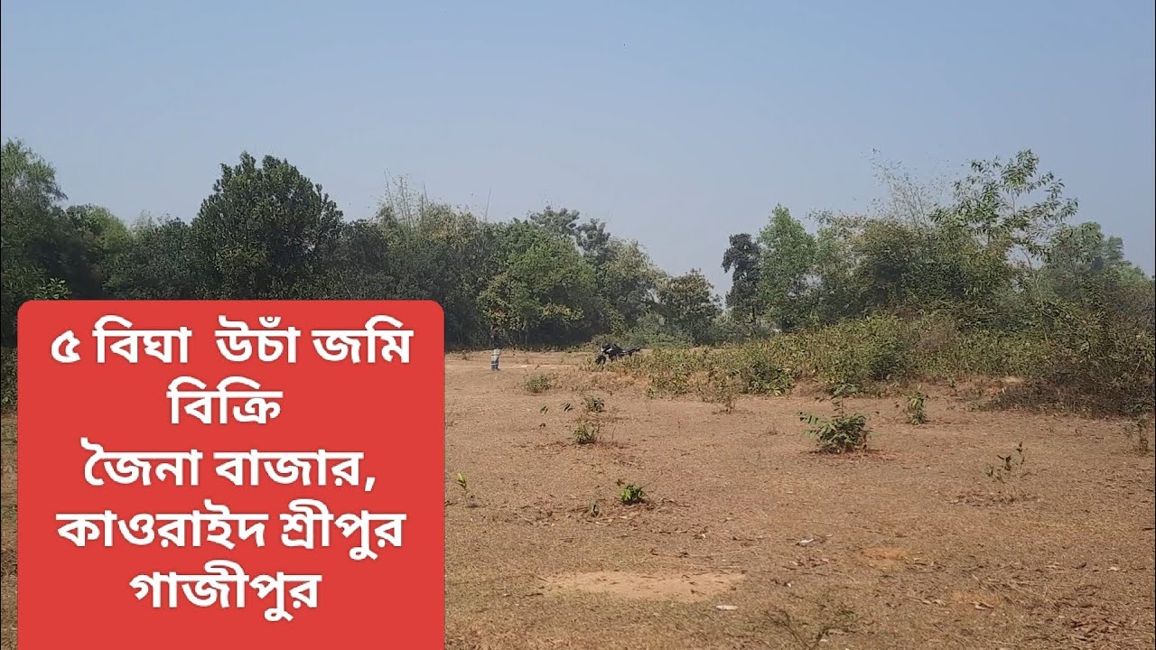 ৫ বিঘা উচাঁ জমি বিক্রি।। সোনাব,শ্রীপুর গাজীপুর।।#asset seller#Land sale Sreepur Gazipur