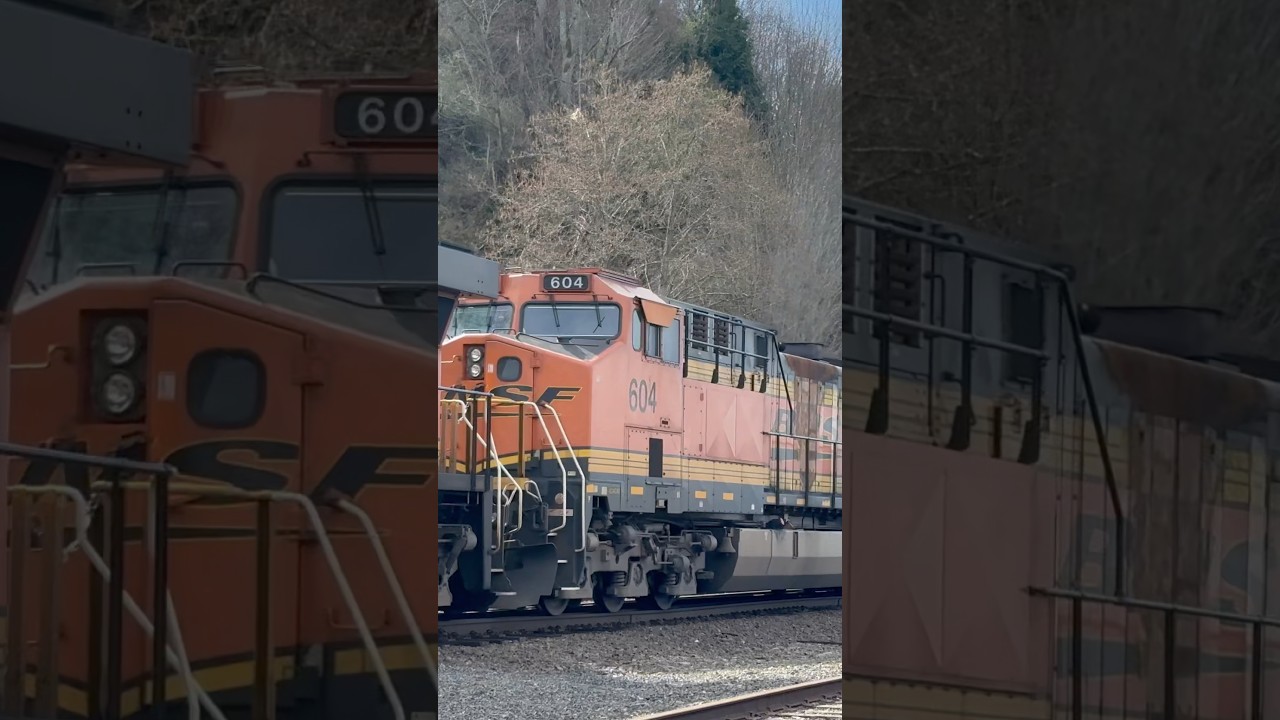 An ex ATSF locomotive on a coal train #train #bnsf #railfanningamerica