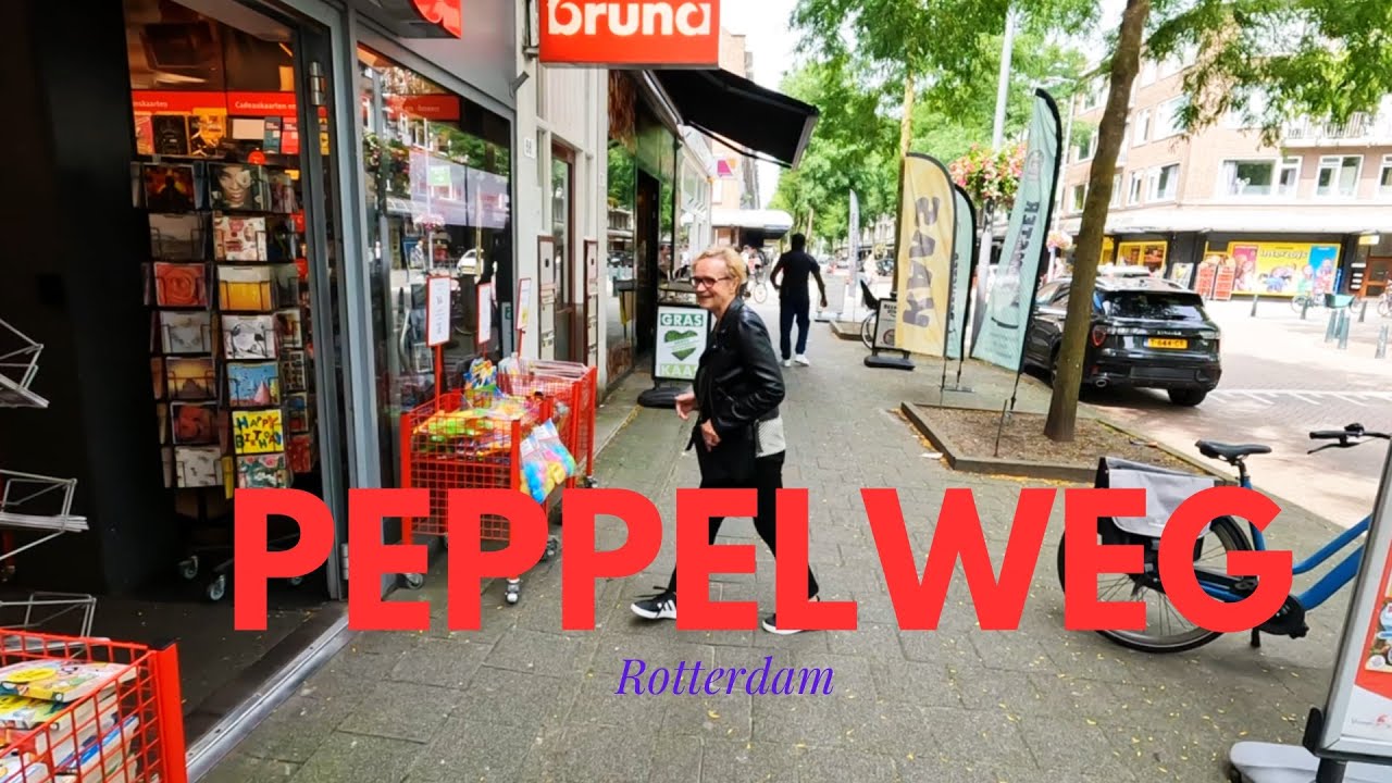 Netherlands 2024 (4K) - Walking on PEPPELWEG in Rotterdam