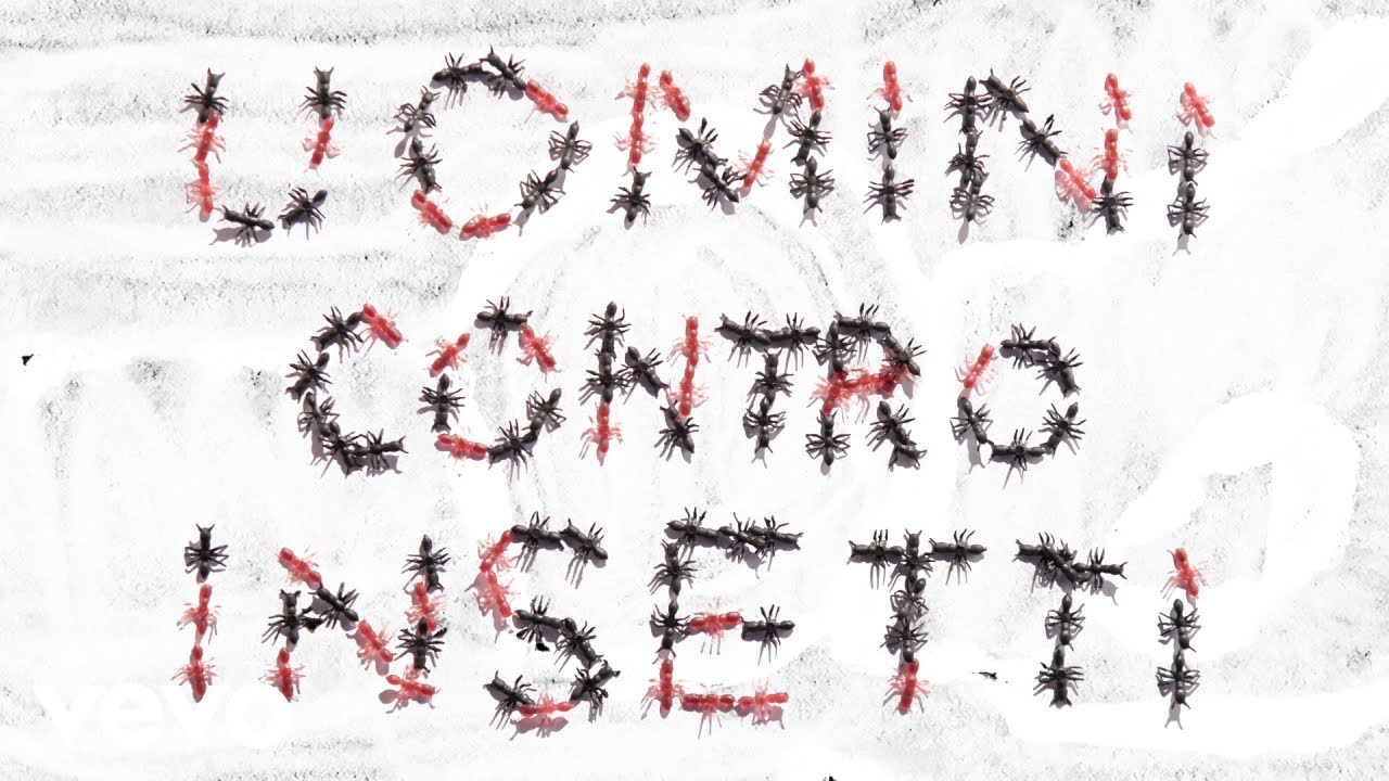 Giorgio Poi - uomini contro insetti (Official Video)