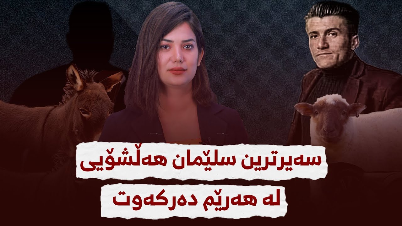 سەیرترین سلێمان هەڵشۆیی لە هەرێم دەرکەوت