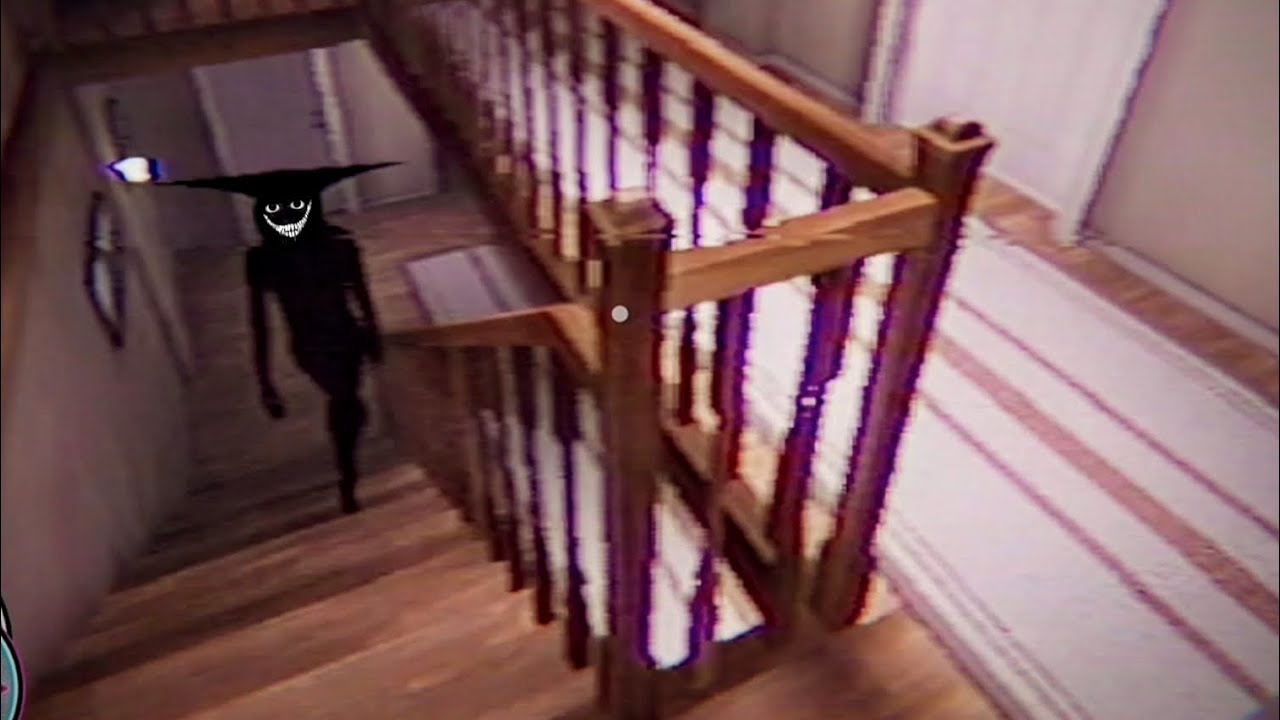 ALGO SE METIO A MI CASA 😨_Boisvert