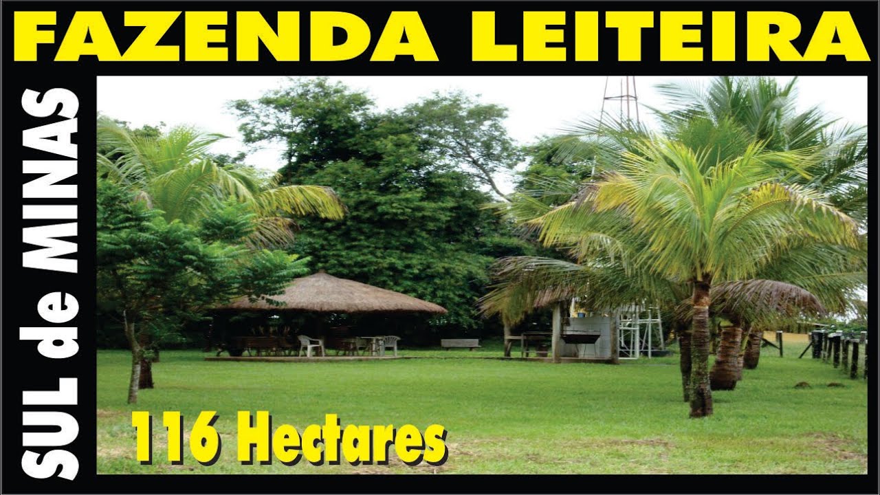 Fazenda gado leiteiro sul de minas Estrutura de Ponta e Muita Água