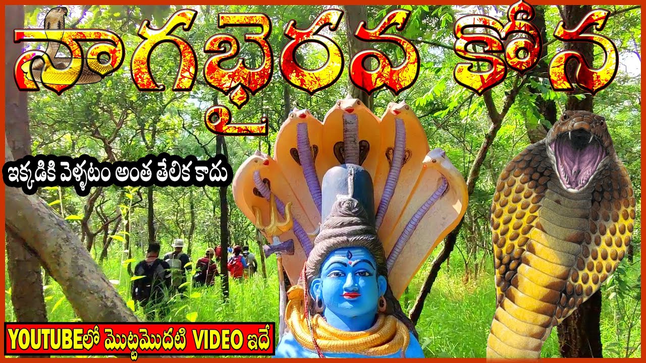 నాగభైరవకోన రహస్యం. nagabairava kona, panchalingala kona, mallemkonda, nallamala forest. Bhairavakona