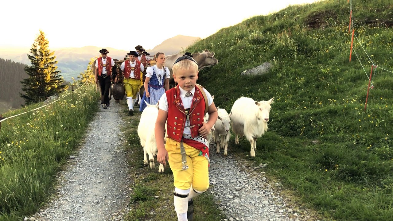 Jodlerklub Männertreu, Advents Freude 1
