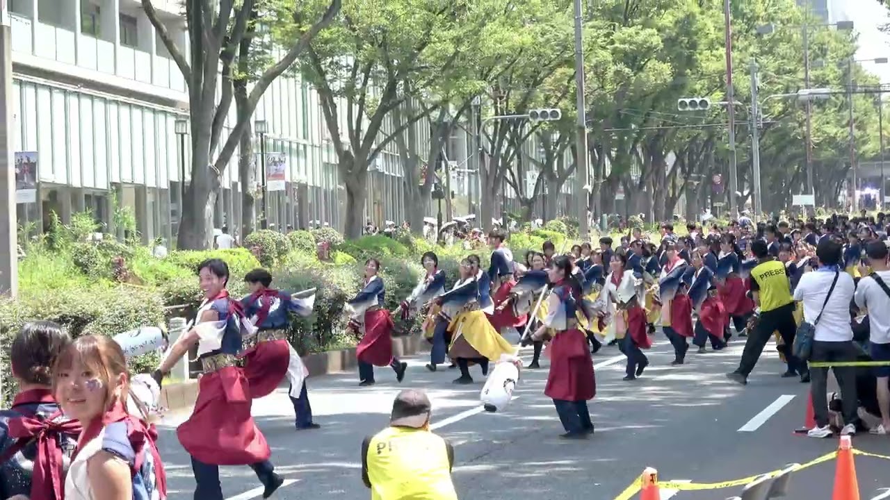 早稲田大学よさこいチーム東京花火＠2025　原宿スーパーよさこい・表参道アヴェニュー