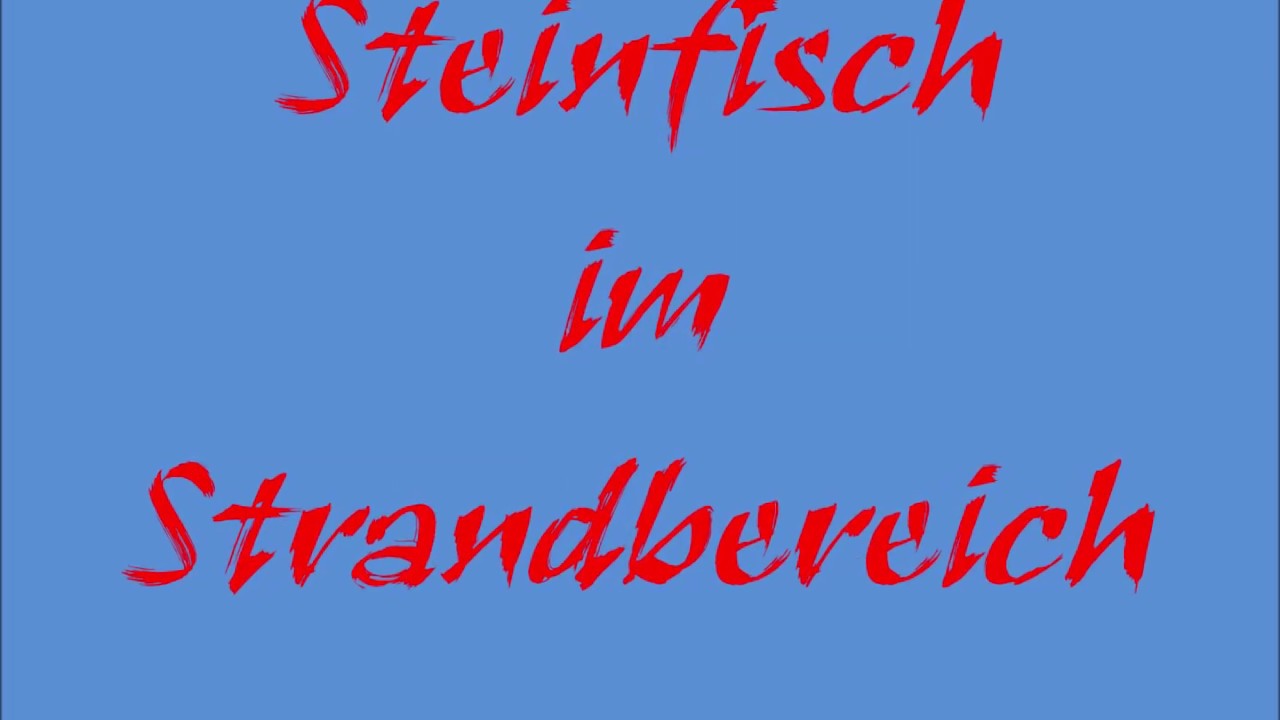Giftiger Steinfisch im Badebereich!   