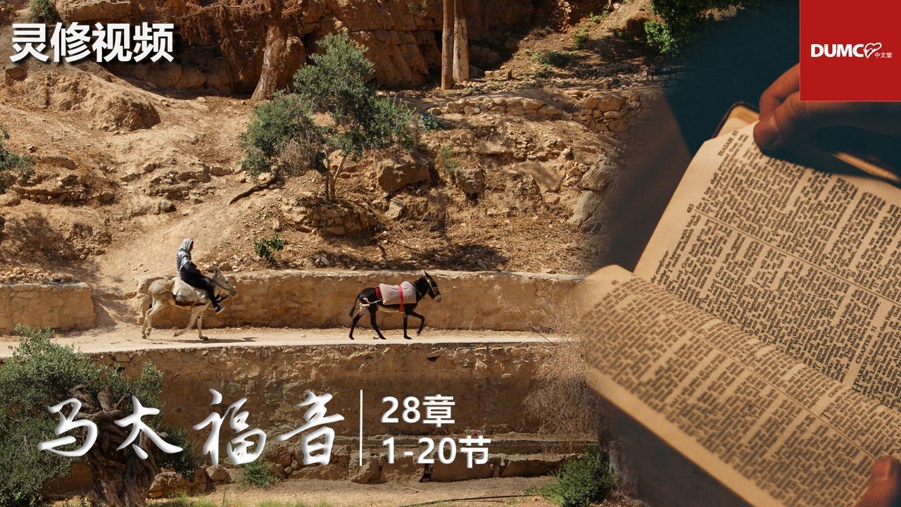 灵修视频：马太福音 28：1-20【耶稣的复活】