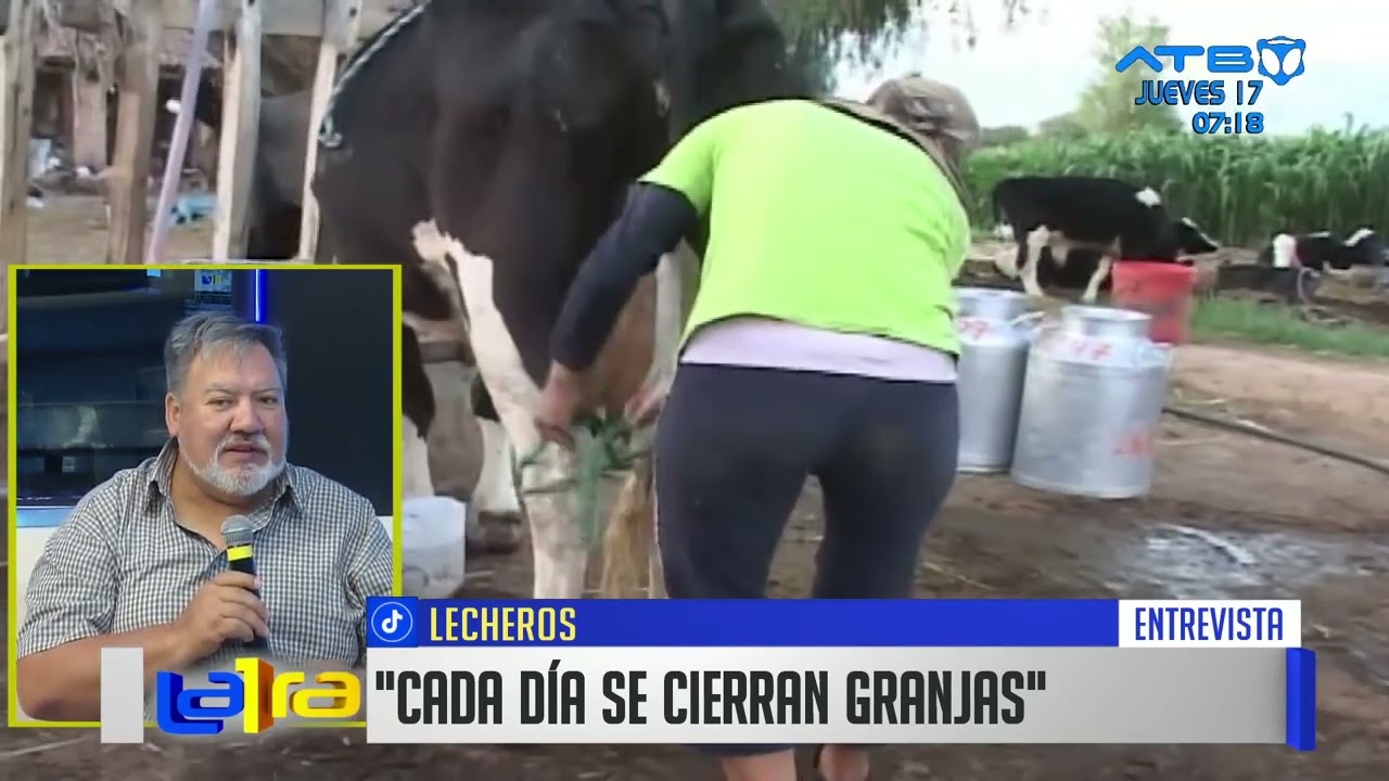 Sector lechero de Cochabamba declara emergencia por p&eacute;rdidas econ&oacute;micas