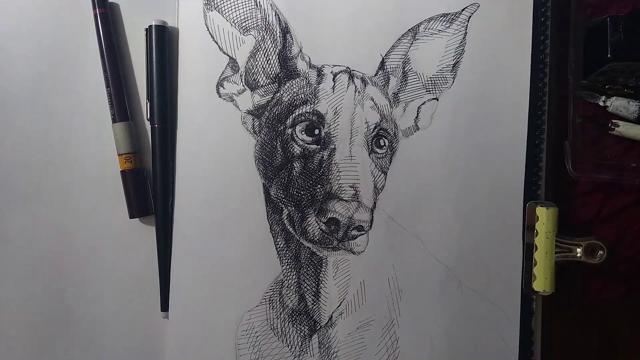 Dog drawn in ink