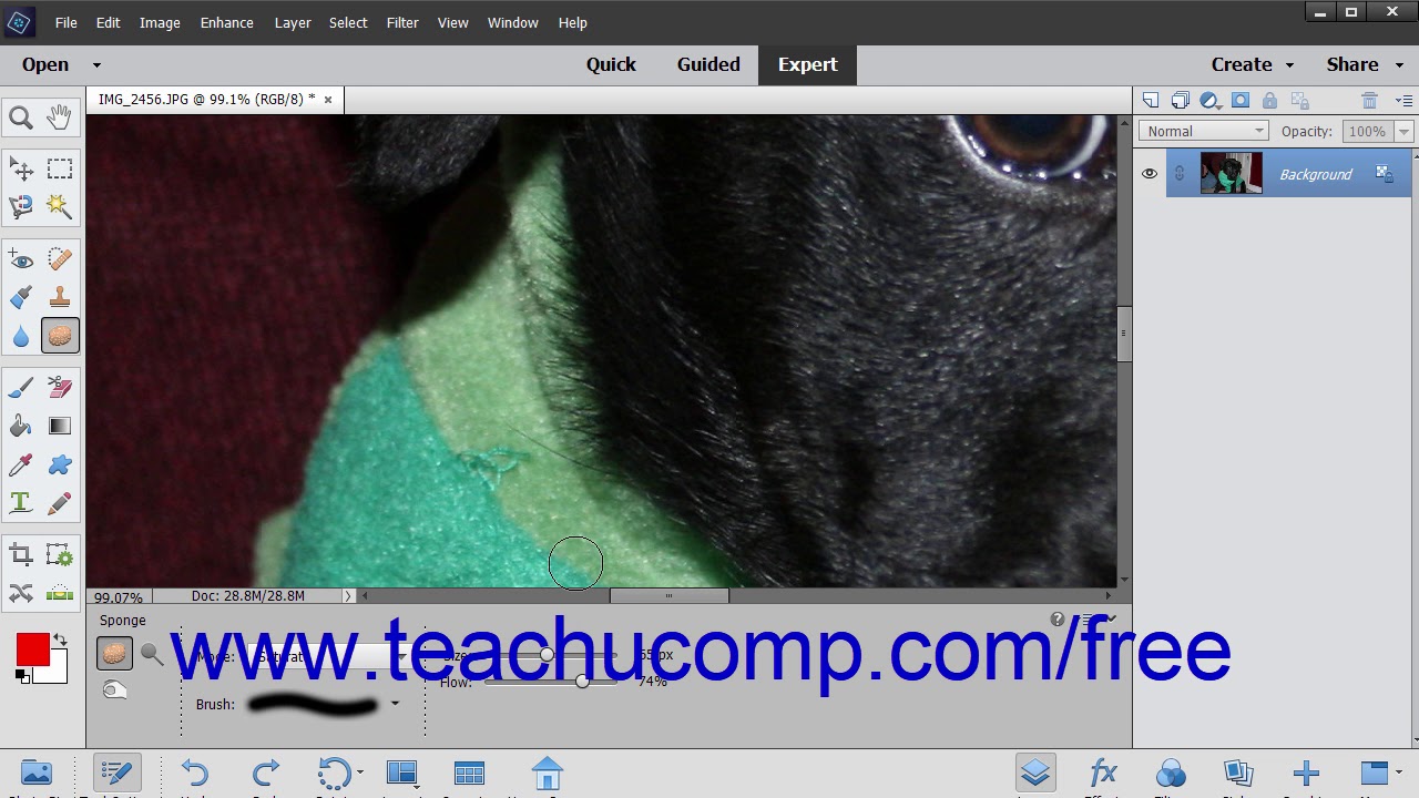 Photoshop Elements 2019 Tutorial The Sponge Tool Adobe Training