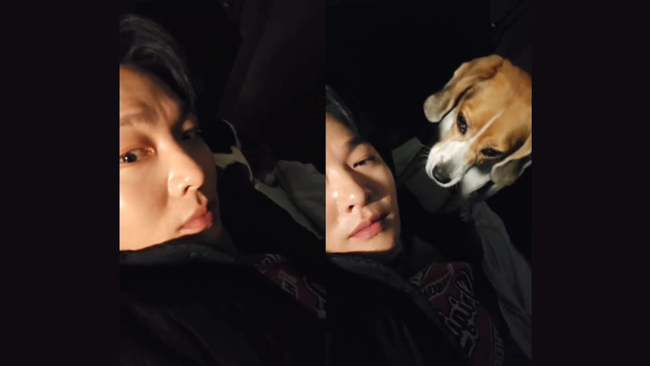 250421 창섭이 인스타 라이브🍑 with. 구리🐶