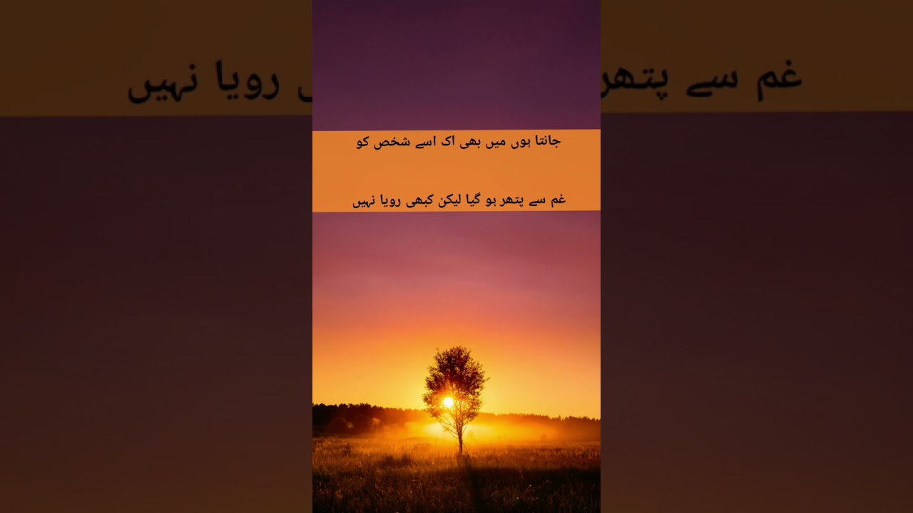 #sadpoetry #shairyi #stutasshayari #urdudeeplines 2025
