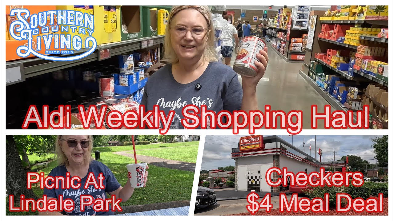 Aldi Haul Weekly Shopping  --  Checkers 4 Dollar Meal Deal  --   Picnic at Lindale Park