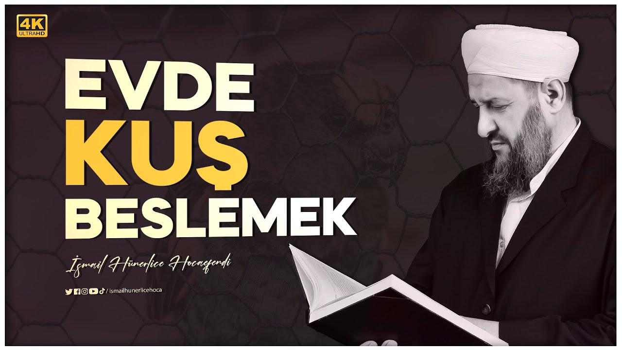 Evde Kuş Beslemek Hakkında - İsmail Hünerlice Hocaefendi