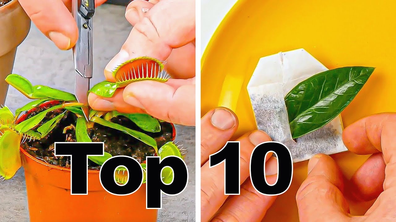 Get Yourself Comfortable & Prepare To Be Amazed – Here Are Our Best Tricks From 2022!