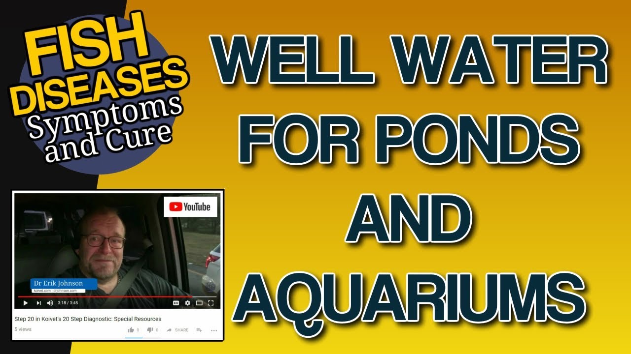 Well Water in an Aquarium or Well Water and Fish Tanks: Safe?