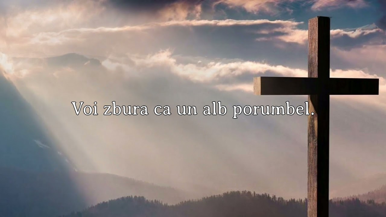 Nicidecum, nicăieri, niciodată • Ruben Diaconu