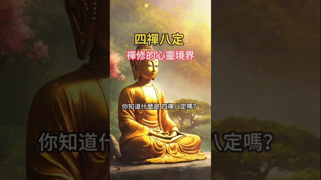四禪八定 禪修的心靈境界 佛教禪修中的心靈次第，從欲界的離欲清淨，到色界的四禪安樂，再到無色界的四種空境 #佛法 #佛教 #菩提解脫道 #正能量 #人生感悟 #情感 #菩提梵唱 #感情 #禅意生活