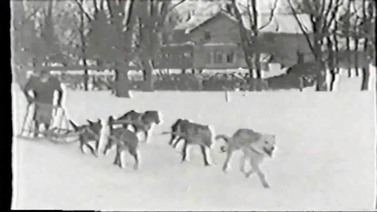 Leonhard Seppala racing in Ontario, Canada. Circa 1930