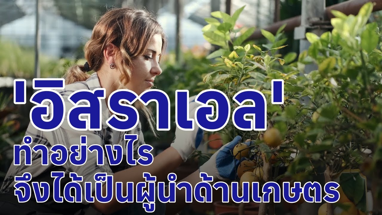 ทำเกษตรแบบอิสราเอล เคล็ดลับความสำเร็จ: ทำไมอิสราเอลถึงเป็นผู้นำด้านการเกษตรในสภาพแวดล้อมที่แห้งแล้ง